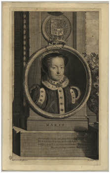 Vol.%20Z%20277%2C%20tav.%2047